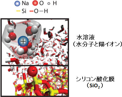 図4：分子動力学計算によるシミュレーション