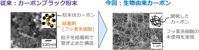 図3　ツチニカエルでんち®と従来電池のカーボン電極
