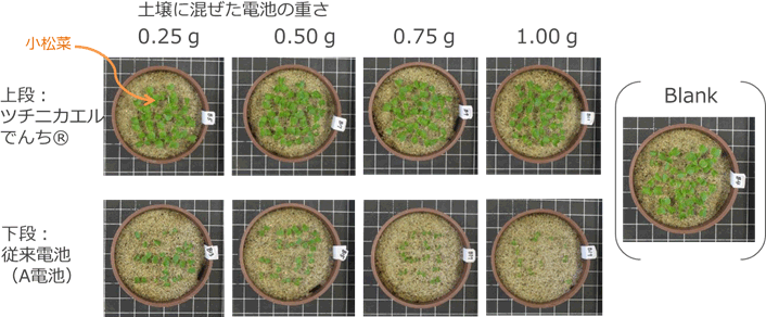 図5 植物の成長への影響