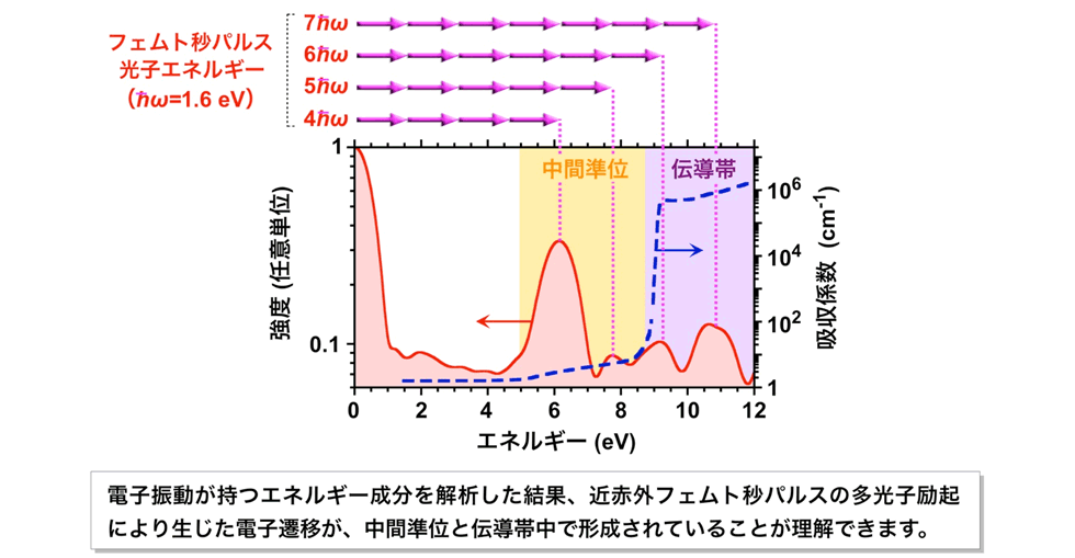 図5：電子振動が持つエネルギー成分