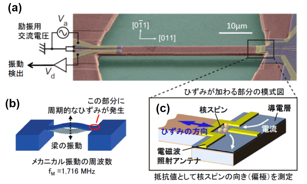 図2　作製したメカニカル振動子の構造