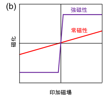 図2b：強磁性と、常磁性（磁石としての性質を失った状態）での印加した磁場に対する磁化の変化の模式図。