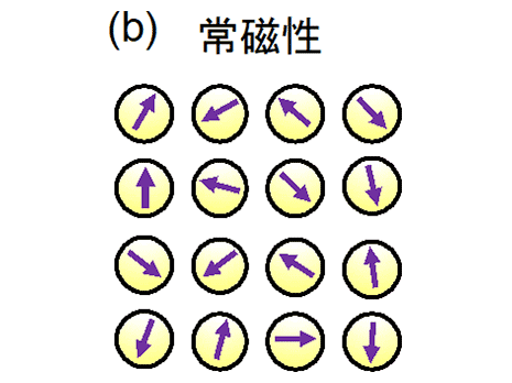 図4b：常磁性の模式図。