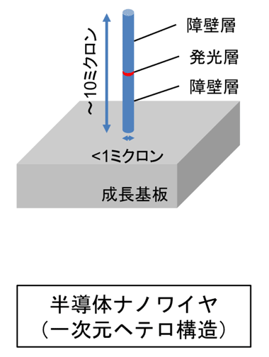 半導体ナノワイヤ（一次元ヘテロ構造）