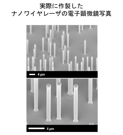 実際に作製したナノワイヤレーザの電子顕微鏡写真