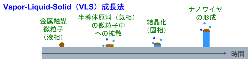 図5：Vapor-Liquid-Solid (VLS) 成長法