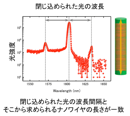 図7：ナノワイヤ単体による光共振器の形成