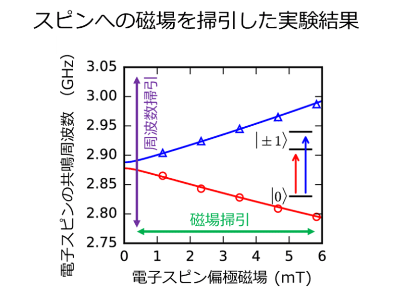 図4　実験結果　スピンへの磁場を掃引した実験結果