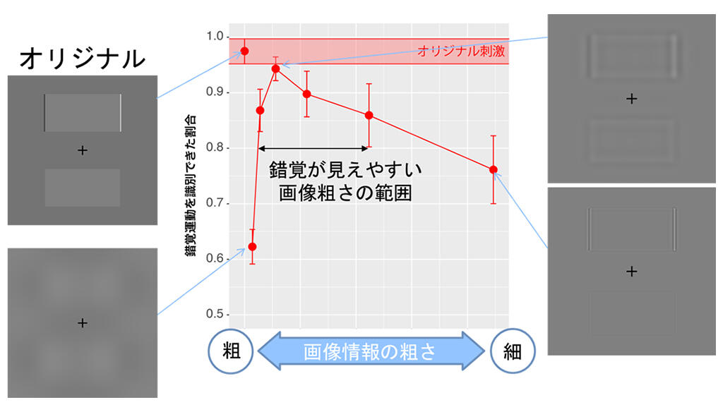 図2 心理物理学実験に基づき、本技術が効果的になる明暗輪郭線の幅を特定