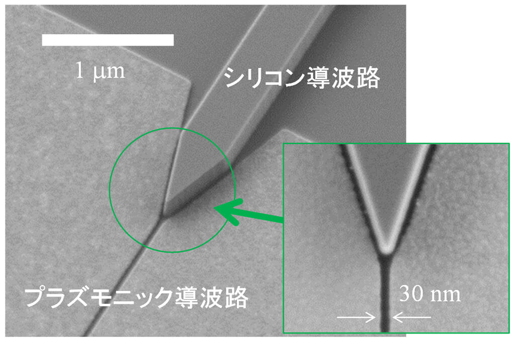 図5：プラズモニックモード変換器の電子顕微鏡像