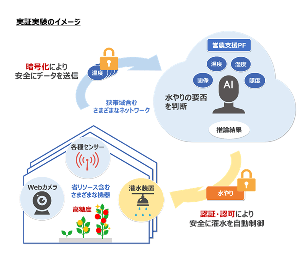 実証実験のイメージ