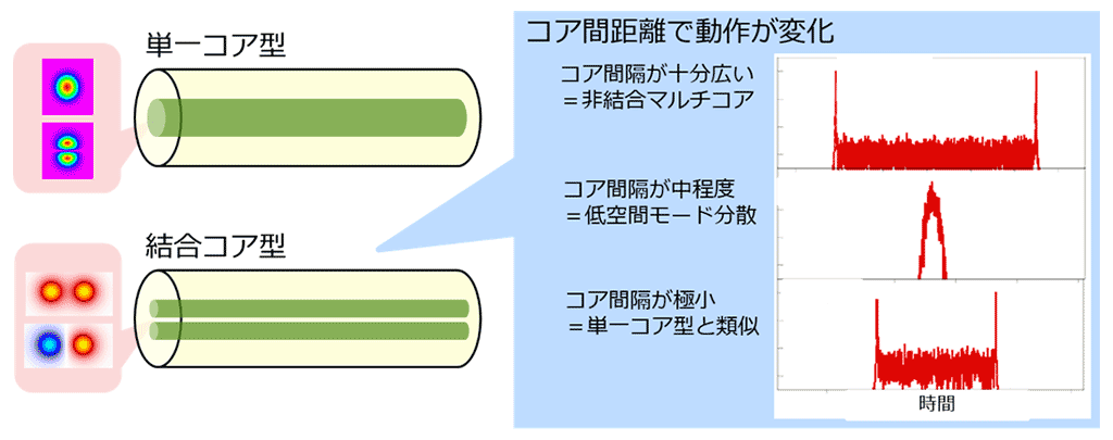 図5　単一コア型および結合コア型マルチモード光ファイバのイメージ