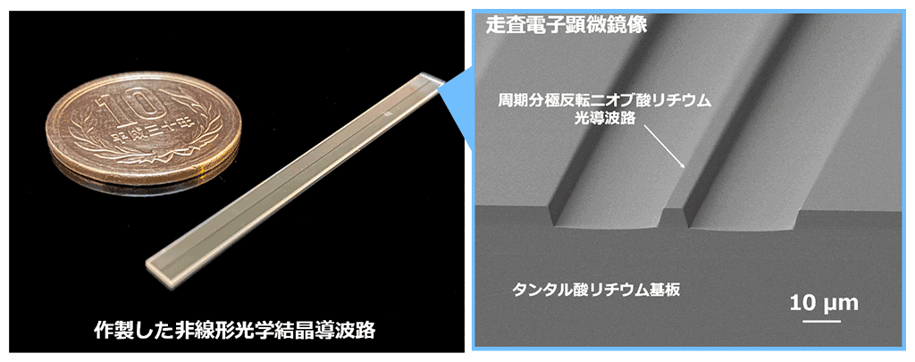 図2　作製した非線形光学結晶による光導波路の写真
