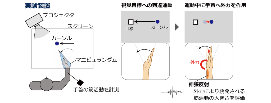 図3．本研究で実施した実験課題
