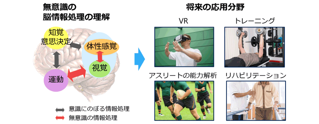 図6．将来的な応用の可能性