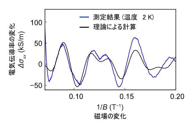 図4：SrRuO3中のワイル粒子に起因する量子振動（青線）。磁性ワイル半金属状態に起因する軌道が2種類あることに起因して、2つの振動の重ね合わせになっています。ベリー位相シフト※18を考慮した理論による計算（黒線）と良い一致を示しています。