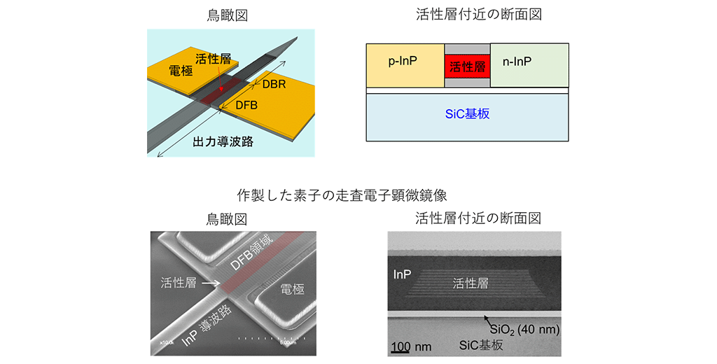 図3 作製した素子の外観図と走査電子顕微鏡像