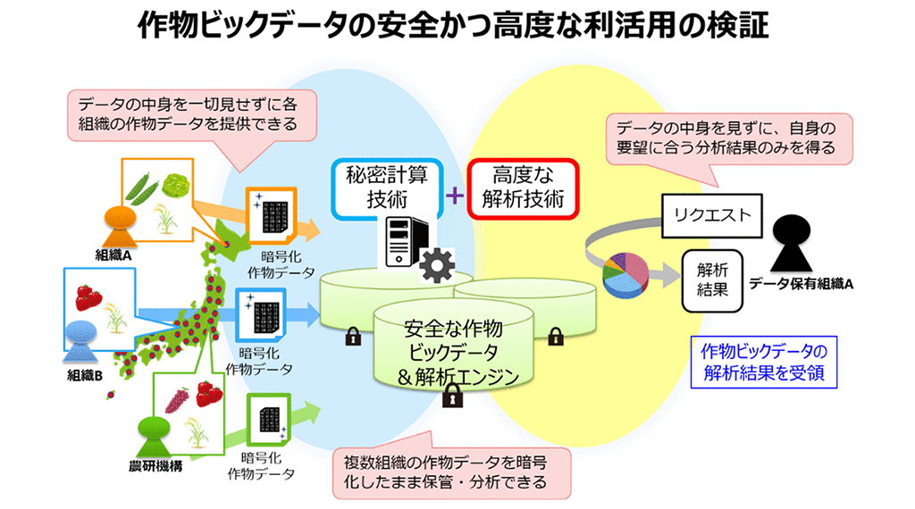 図1　本共同研究の概要