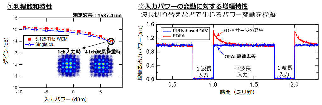 図3　光パラメトリック増幅器の信号増幅特性
