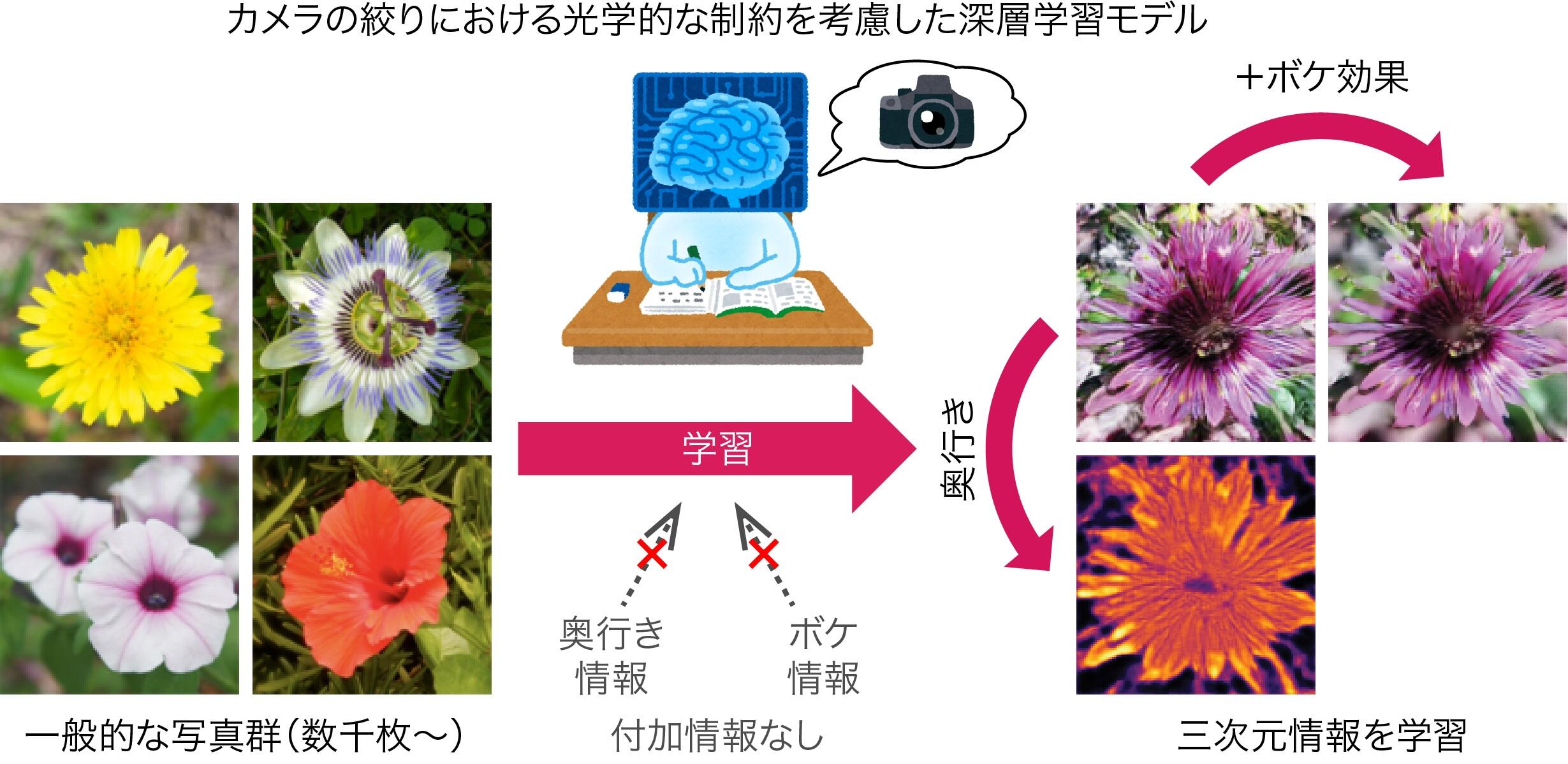 図１：付加情報のない一般的な写真群から三次元情報を学習。カメラの絞りにおける光学的な制約を考慮した深層学習モデルを新たに構築することで、二次元画像集合のみから、奥行き情報やボケ効果といった三次元情報を学習することを実現。