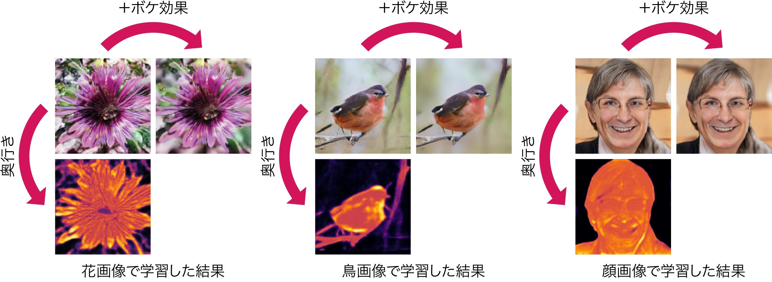 図３：考案したAR-GANを花画像、鳥画像、顔画像を用いて学習した結果の例。画像のボケ度合いに関してある程度の多様性をもたせながら、二次元画像を収集することできれば、様々な種類のデータに適用することが可能。