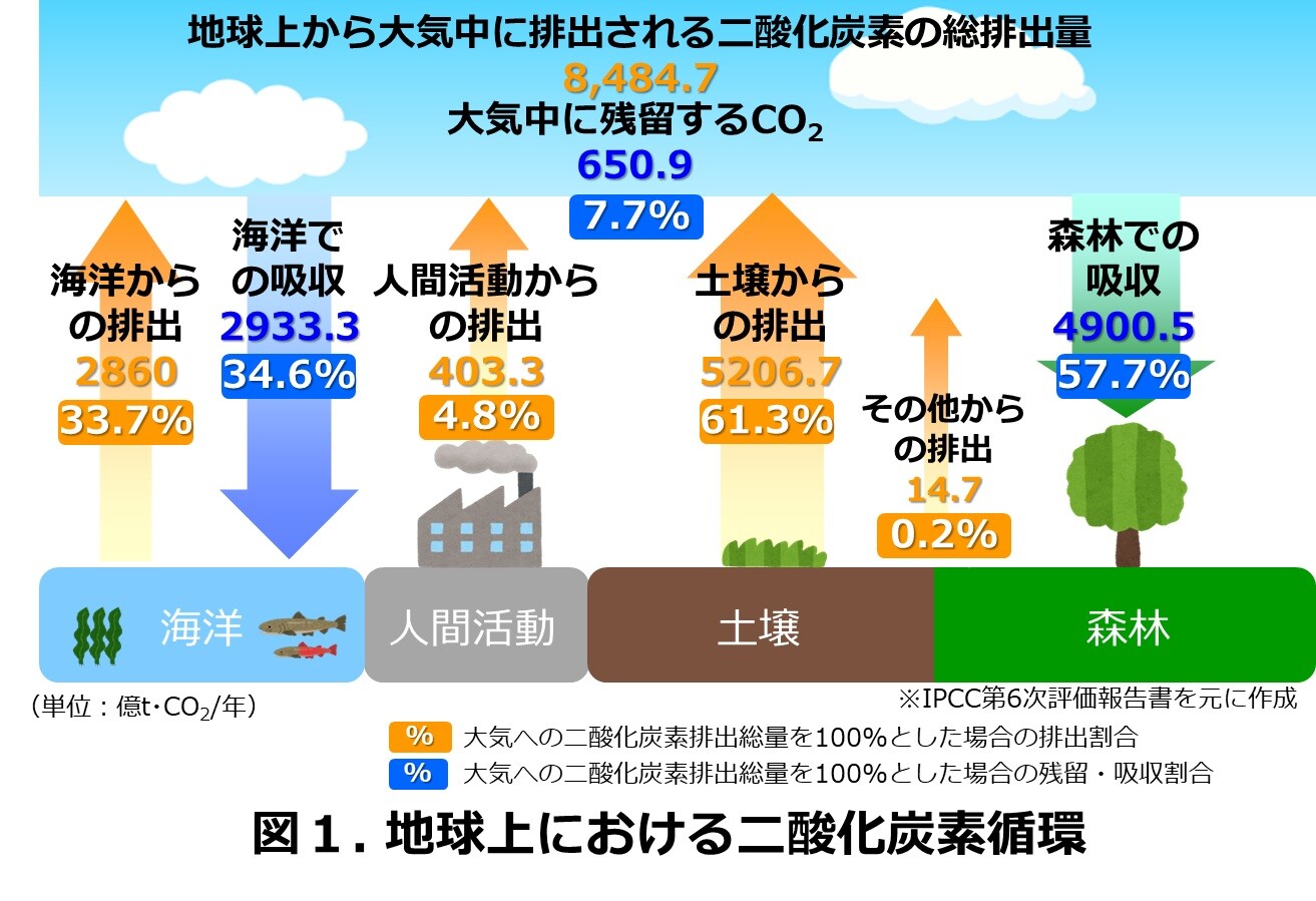 図1. 地球上における二酸化炭素循環