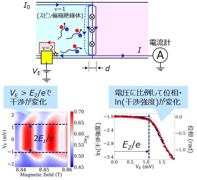 図4：（上）実験セットアップ概略図。金属電極（黄色）に電圧VEを印加することでスピン波を生成。干渉計を透過した電流を測定することでスピン波を検出する。（左下）電子波干渉計の透過電流。印加電圧VEがスピン波を励起するための最低電圧EZ/eを超えた時、干渉パターンが変化している。（右下）位相、および干渉強度のVE依存性。干渉強度が印加電圧に対して指数関数的に減少するというポアソン分布の特徴を示している。ポアソン分布は離散的な事象がランダムに起こるときに現れる確率分布であり、スピン波が粒子のように1個ずつランダムに生成されていることを示している。