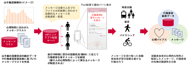 本共同実験のイメージ