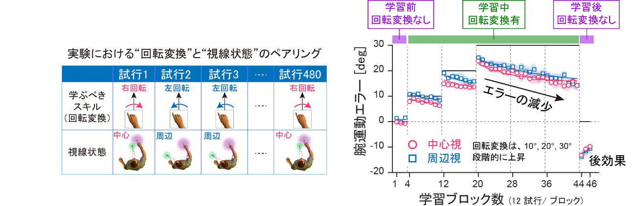 図4. 実験2 - 視線状態の切り替えを利用した相反する腕運動スキルの同時獲得