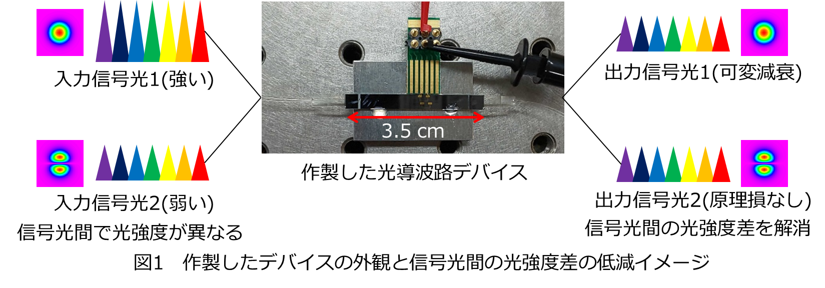 図1 作製したデバイスの外観と信号光間の光強度差の低減イメージ