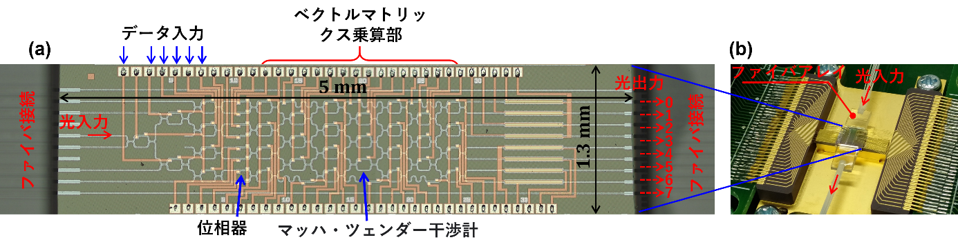 図1 （a） 製作したニューラルネットワーク演算用シリコン光集積回路　（b） 評価用実装モジュール（図（a）はNature Communications誌に掲載された図面を和文に編集したもの）