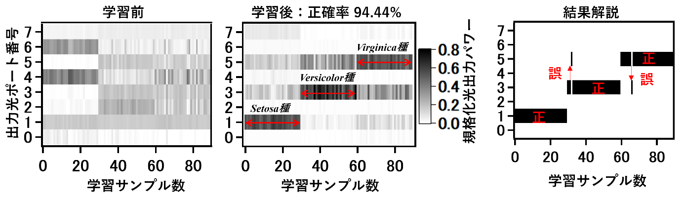 図3 アヤメの花弁形状による花種分類演算のベンチマーク結果。結果解説の図は学習後の結果を元に最大値を与えた出力ポートを示したものである。（真ん中の図面はNature Communications誌に掲載された図面を和文に編集したもの）