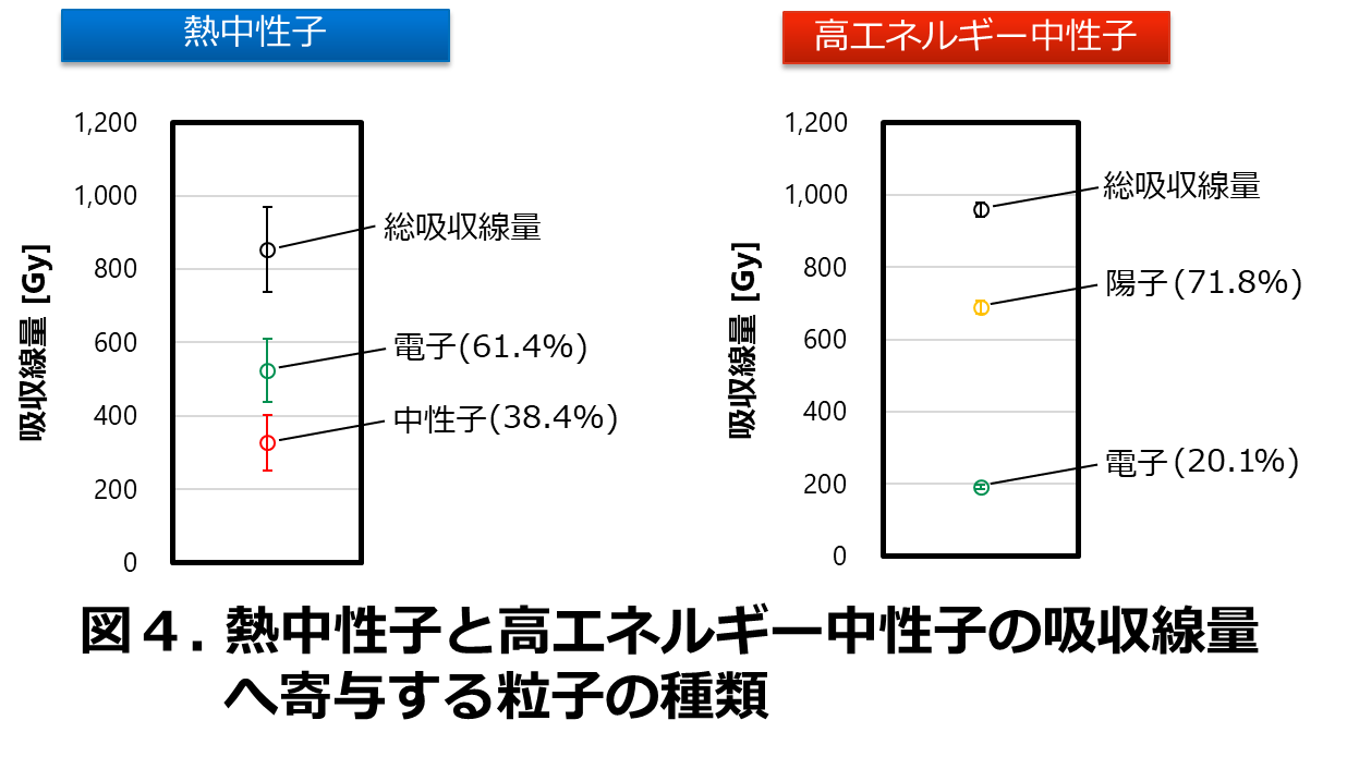 図4.熱中性子と高エネルギー中性子の吸収線量へ寄与する粒子の種類