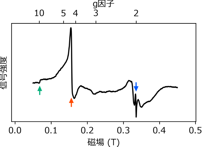 図3 神経細胞の電子スピン共鳴スペクトル。緑矢印がg因子9.8、赤矢印がg因子4.3、青矢印がg因子2.0のピーク。