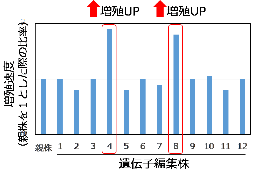 図2　NTTの評価結果（12遺伝子）