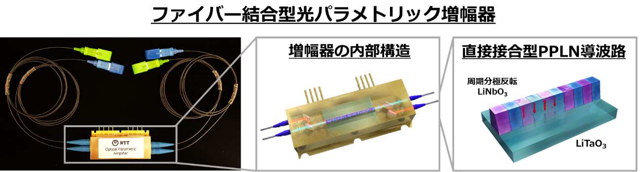 図3 直接接合型周期分極反転ニオブ酸リチウム（PPLN）導波路を用いた、ファイバ結合型光パラメトリック増幅器。本研究において、