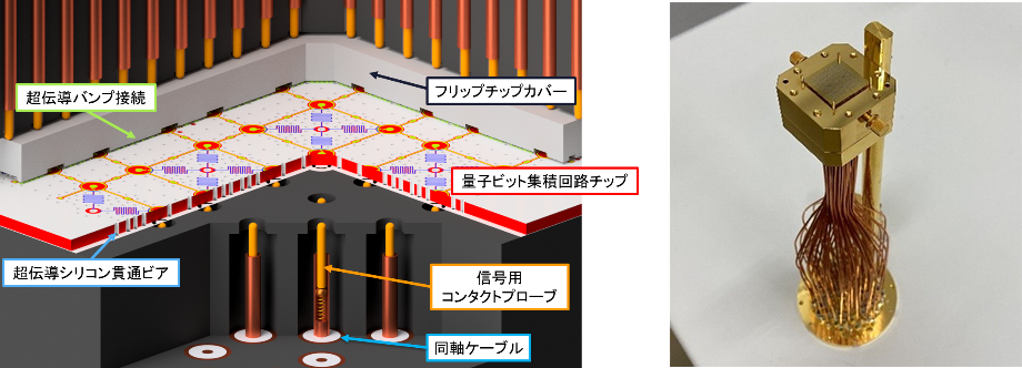図2  垂直配線パッケージ （左）垂直配線の概念図。量子ビットに対する制御・読み出し用配線が信号用コンタクトプローブを介してチップに対して垂直に接続される。この配線を通してマイクロ波信号の送受信が行われる。 （右）量子ビット集積回路チップが装着された配線パッケージ。