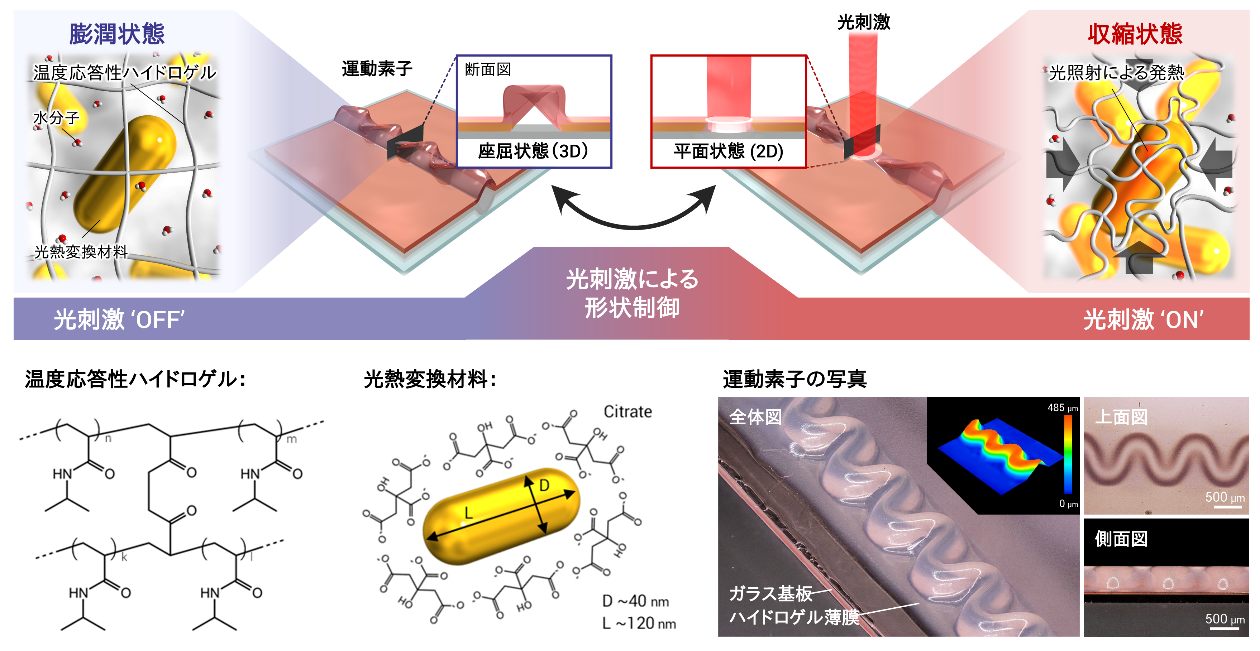 図1：光駆動型オンチップ運動素子の概要