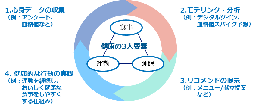 図2：取り組みの全体像