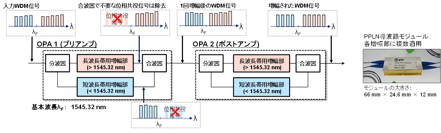 図2：　本成果で用いた光パラメトリック増幅中継器の構成とPPLN導波路モジュール