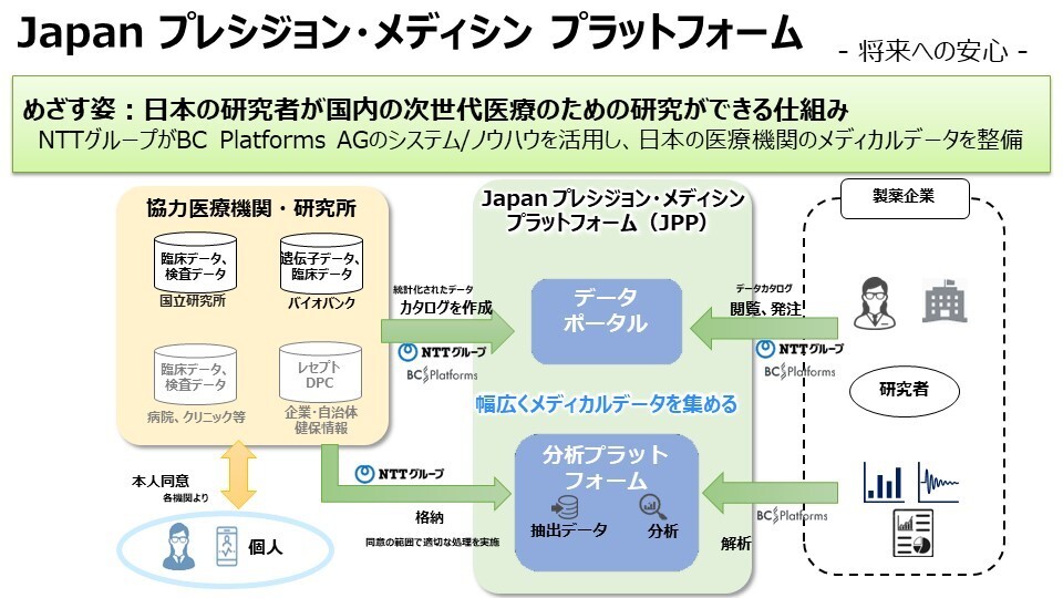 図1：取り組みの全体像