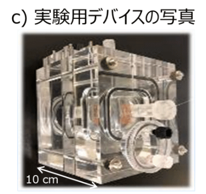 図2. 人工光合成デバイスの概略図