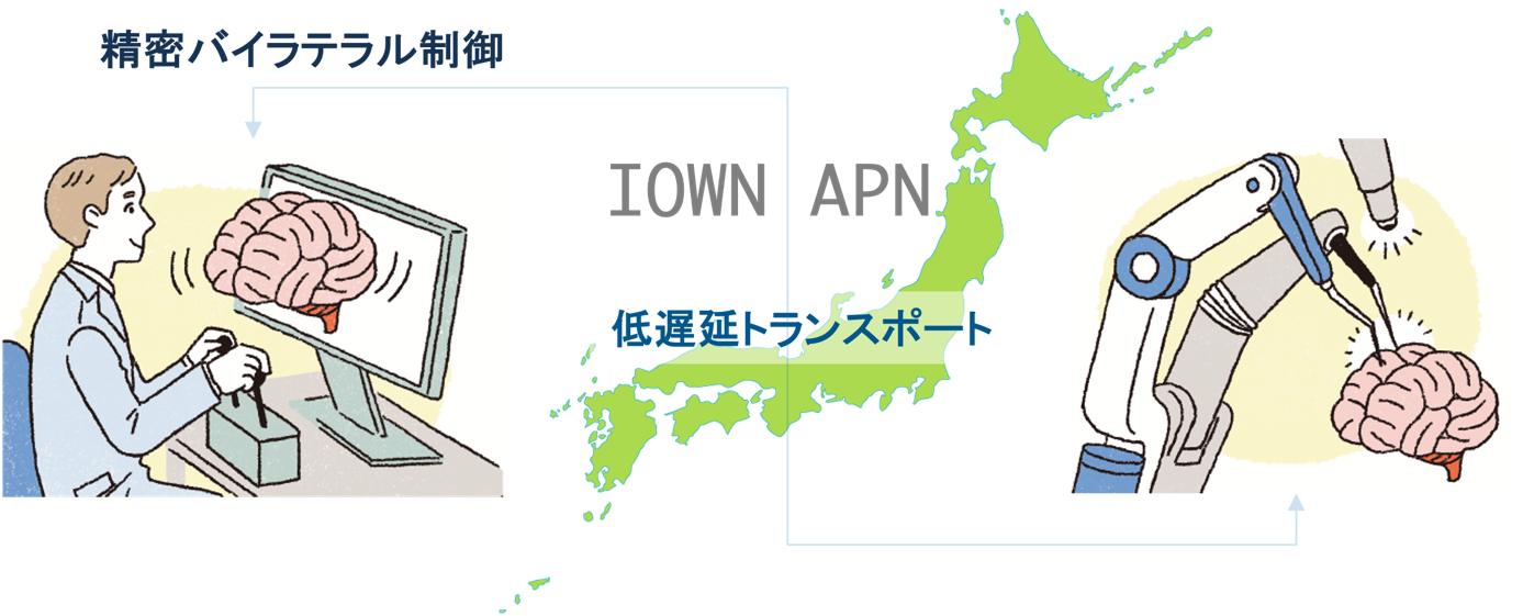 図1 共同実験概要
