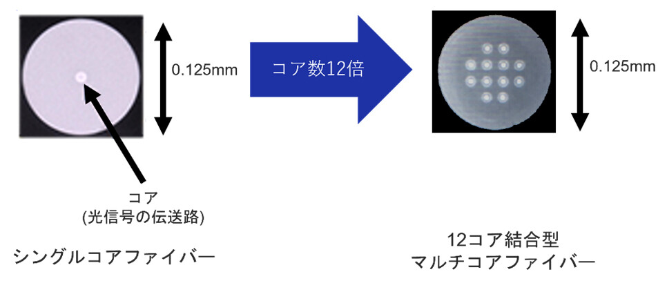 図1. シングルコアファイバー（左）と12コア結合型マルチコアファイバー（右）の断面
