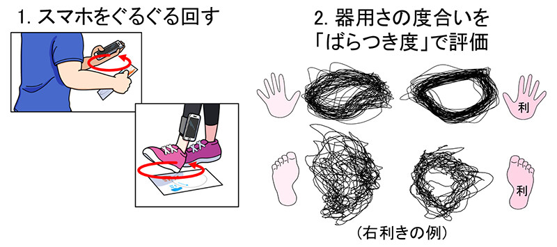 図2　手足の繰り返し運動の「ばらつき度」から「器用さ」の度合いを見える化