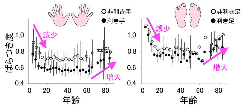 図3　手足の動きのばらつき度は成長と共に減少し、高齢で増大