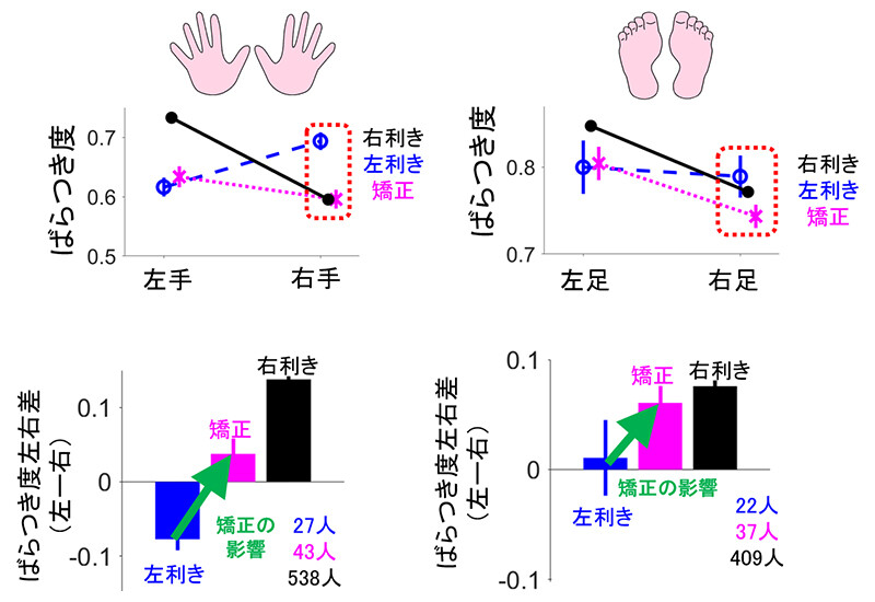 図4　右手を使うように矯正されると、手と足のばらつき度とその左右差に影響
