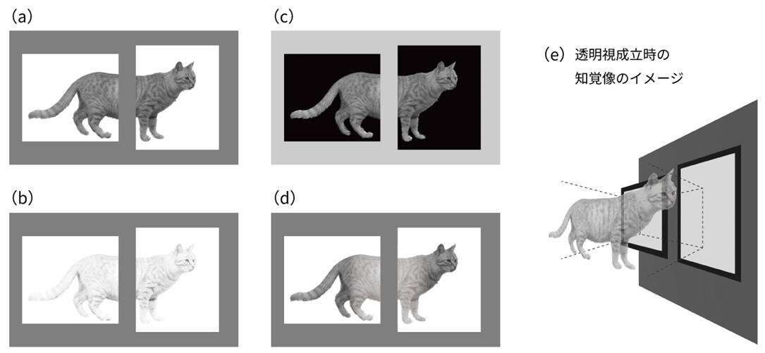 図4 透明視を生起させる明るさ調整の例。（a）調整前。（b）調整後。（c）隙間が明るい場合の調整例。（d）隙間付近のみに調整を施した例。（e）透明視が成立する条件における知覚像のイメージ。交差法・平行法によるデモンストレーションは（※5）を参照。