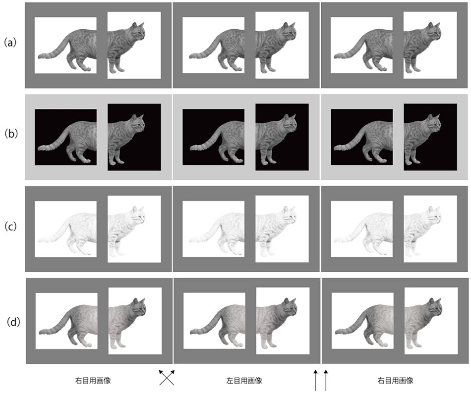 交差法・平行法による両眼融像による3D視のデモンストレーション画像