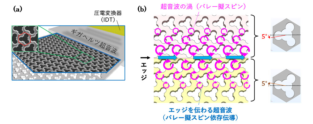 図2：(a) 作製した素子の電子顕微鏡写真と模式図。(b) 超音波導波路の模式図。異なる擬スピンの回転方向（すなわち異なるトポロジー）を持つ二つの領域に挟まれた境界（エッジ）において、反射なく安定した超音波の伝搬が生じます。内部の孔が、それぞれ右回り（黄色）ならびに左回り（ピンク色）に5°だけ傾いています。